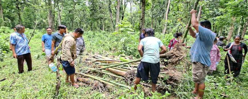 मानव–वन्यजन्तुबिचको द्वन्द्व न्यूनीकरणका लागि जुकेखाडी वनमा वृक्षारोपण 