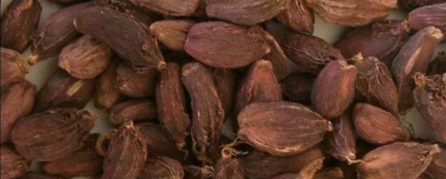 अलैंची व्यापारमा  आयकरमा करोडौँ छली, अर्बौं रुपैयाँ हुण्डीमार्फत नेपाल भित्रिँदै