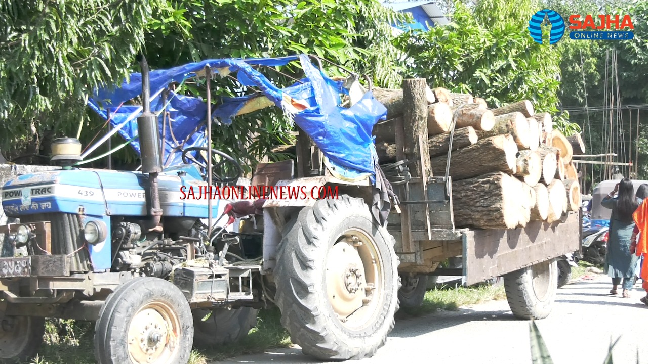 WhatsApp Image 2025-11-17 at 20.46.29 (1)