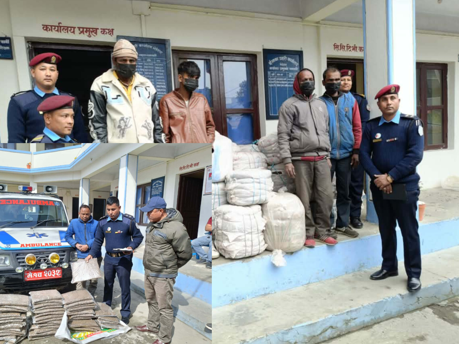 InShot_20251210_064937022