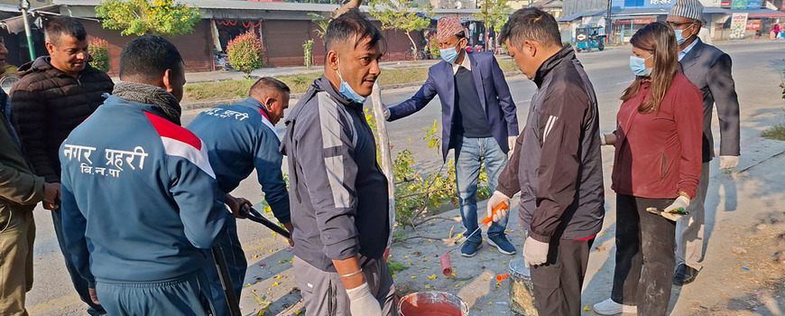 स्वयंसेवक दिवसको अवसरमा बिर्ताबजार क्षेत्रका बोटबिरुवामा रङरोगन स्वयंसेवक दिवसको अवसरमा बिर्ताबजार क्षेत्रका बोटबिरुवामा रङरोगन